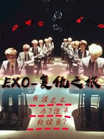 EXO-复仇之旅