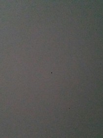 不知道叫什么没有