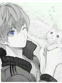 人生若只如初見:……