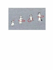 猪希的日常