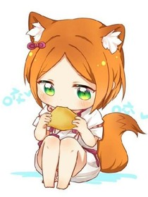源宇陽木