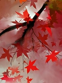 這世界的你
