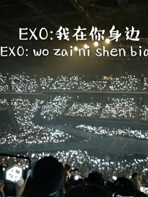 EXO:我在你身边