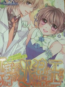 惡魔城里的浪漫王子