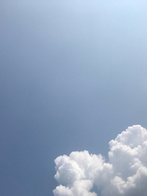 恶魔总裁：老婆，轻一点。