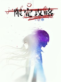 限定攻略