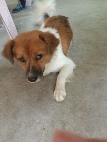 复仇记之王默