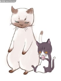 實本的生活