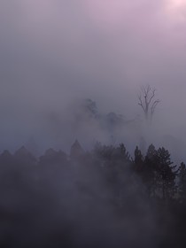 初心仍在，人去樓空