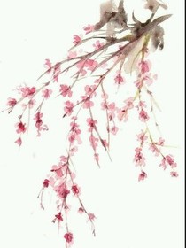 你永远都是我的王妃