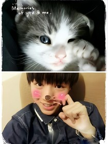 喵灵