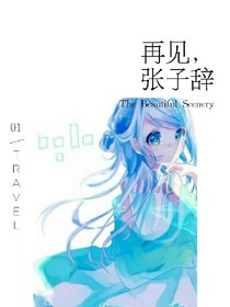 再见，张子辞