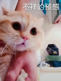 我的老公是具尸体