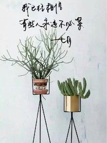 不必等待