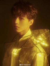 TFBOYS之萌貓咪來襲