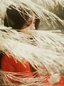 逆天，废柴草包七小姐