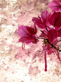 花落闻名_d386_d755