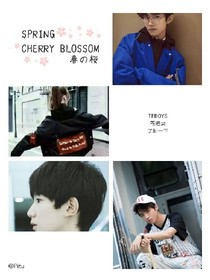 TFBOYS霸道妻了解一下
