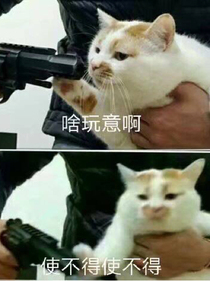 安染日常黑历史