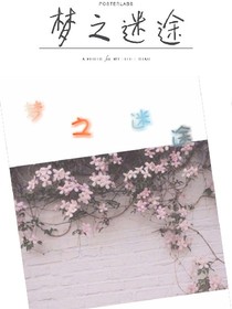 夢(mèng)之迷途