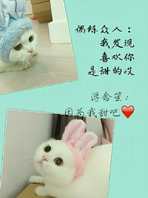 最好的時(shí)光致最好的你