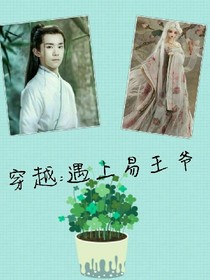 穿越:遇上易王爺_d943