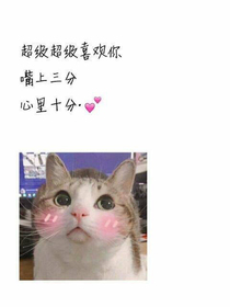 大厂聊天群