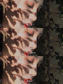 自叙.