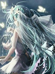小花仙之完美少女