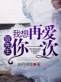 贺先生，我想再爱你一次