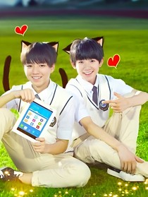 TFBOYS之宠你在心尖