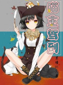 喵主驾到