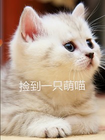 撿到一只萌喵_d220