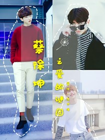 蔡徐坤之爱的谜团