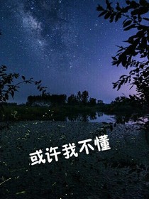 或许我不懂
