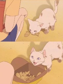 偷吃的猫.