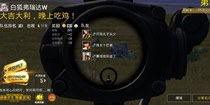 搞笑吃鸡
