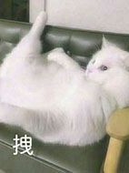 仙熔