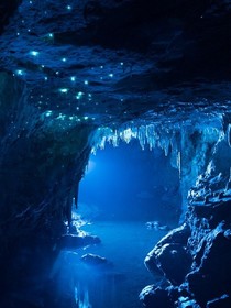 穿越小花仙之彼岸惊华