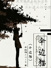 伞边猫