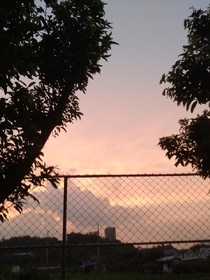 雨夜的执着
