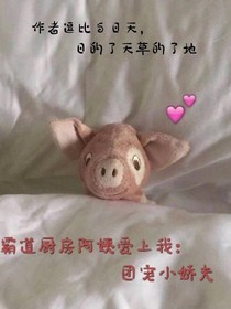 霸道厨房阿姨爱上我：团宠小娇夫