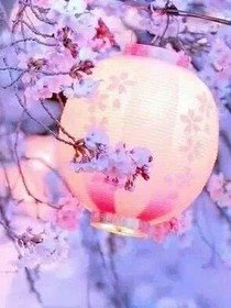 樱花故事专卖店