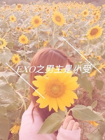 EXO之男主是小受