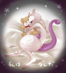 神奇寶貝之九鳳鑾凰