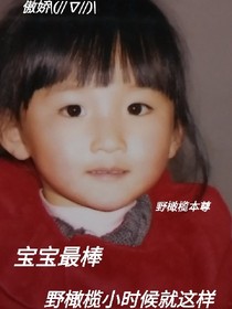 一枝橄榄攀墙头
