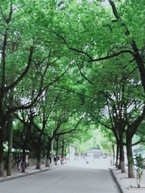 九轉(zhuǎn)神劍