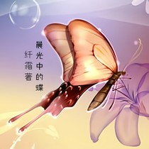 晨光中的蝶