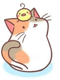 時(shí)光與他，更傾于你
