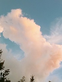 初夏微凉。的日常